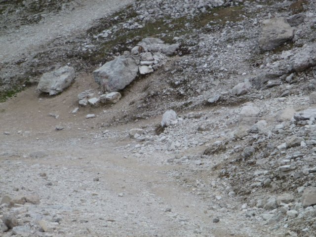 p1040381.jpg