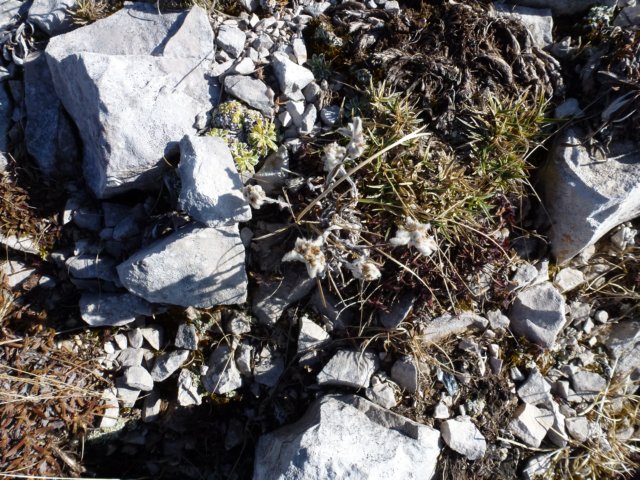 p1030876.jpg