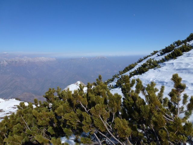 p1030882.jpg