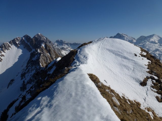 p1030902.jpg
