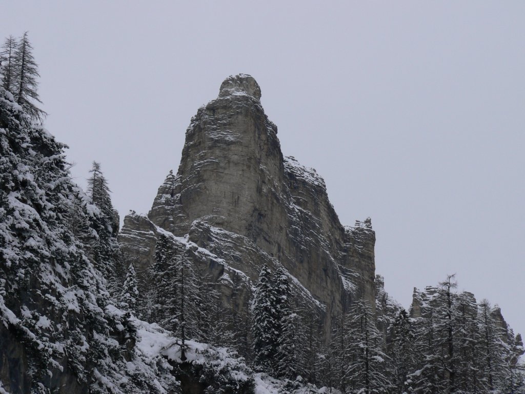 p1140866.jpg
