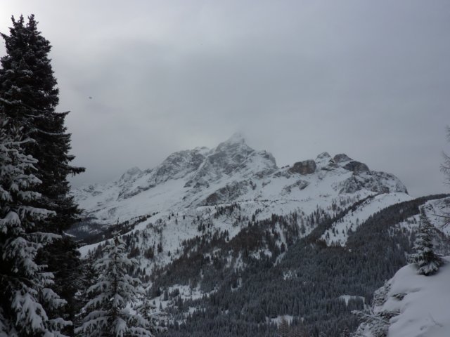 p1000140.jpg