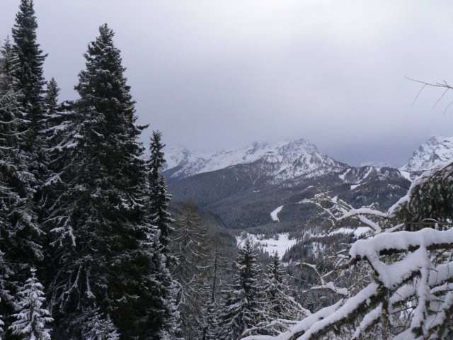 p1130384.jpg