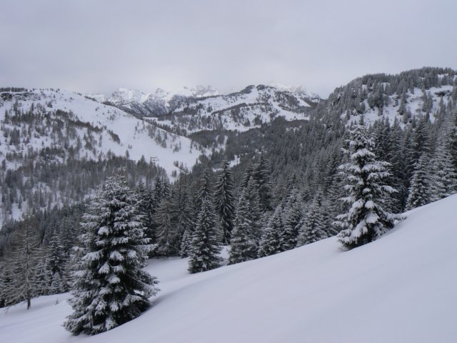 p1130387.jpg