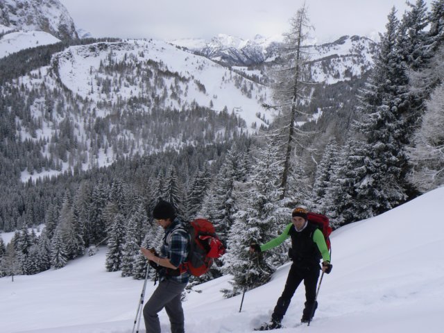 p1130390.jpg