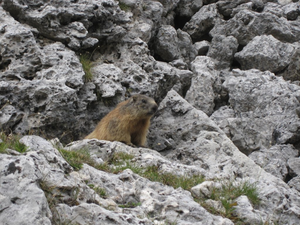 img_6076.jpg