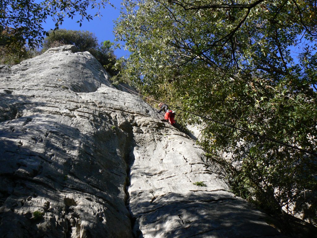 p1120771.jpg
