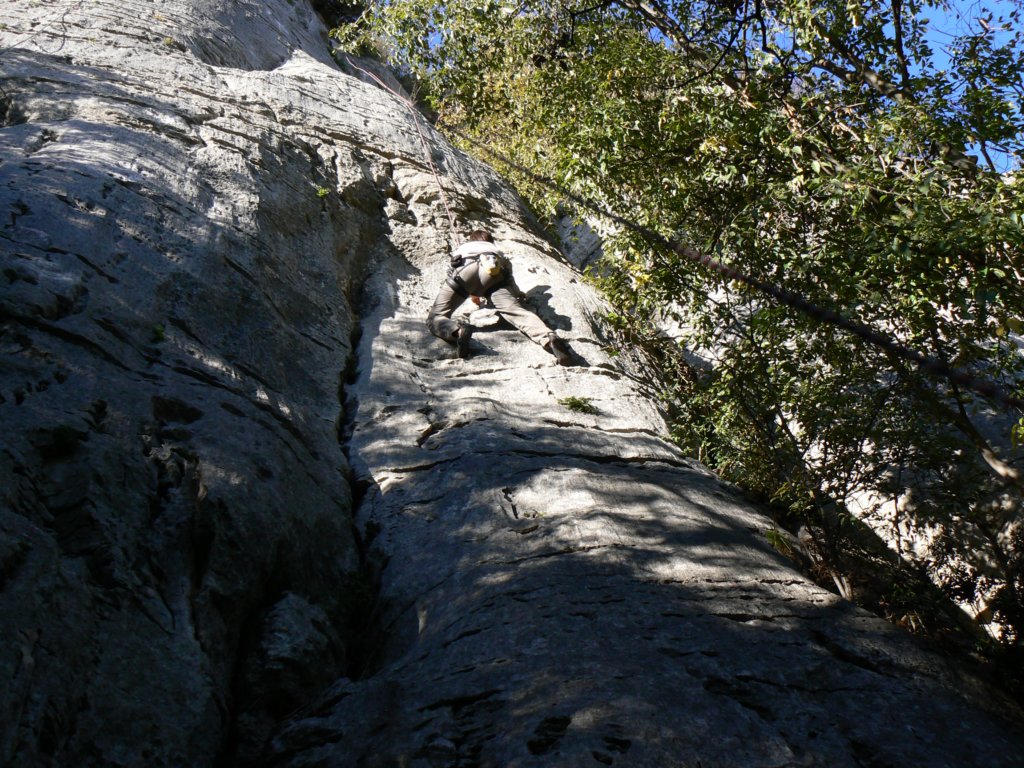 p1120784.jpg