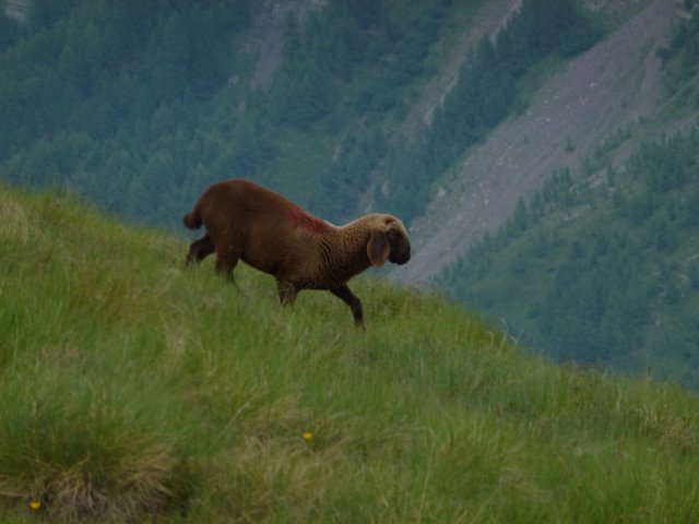 p1050212.jpg