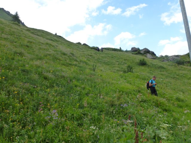p1050284.jpg