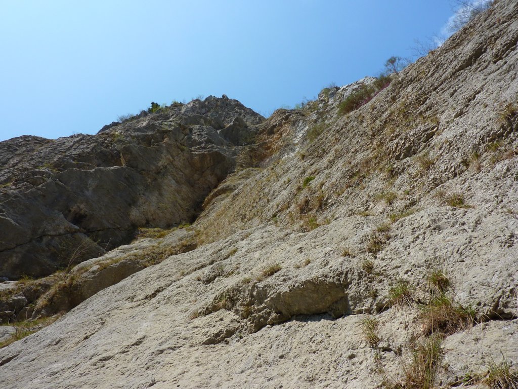 p1000442.jpg