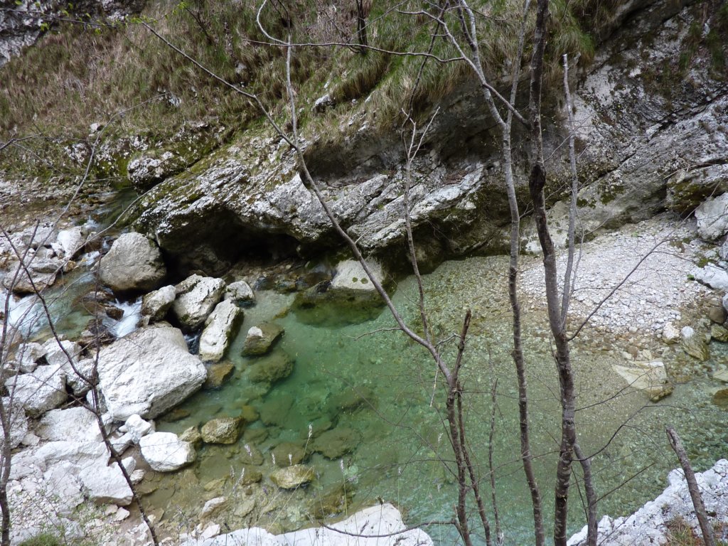 p1000449.jpg