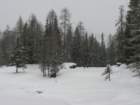 p1140936_small.jpg