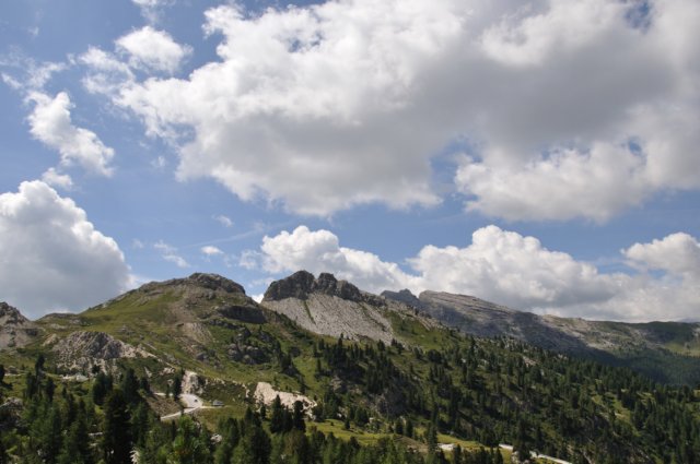 dsc_0335.jpg