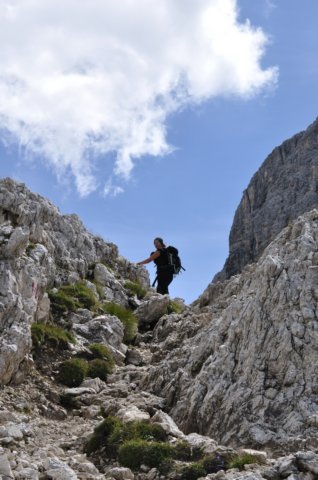 dsc_0347.jpg