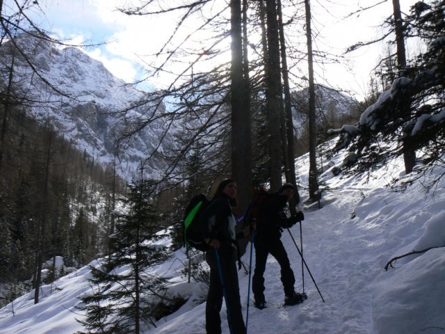 p1130405.jpg