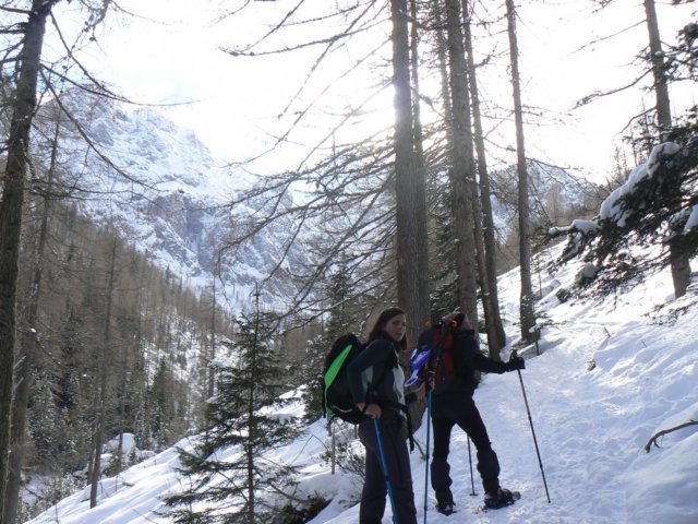 p1130406.jpg