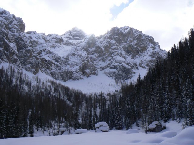 p1130416.jpg