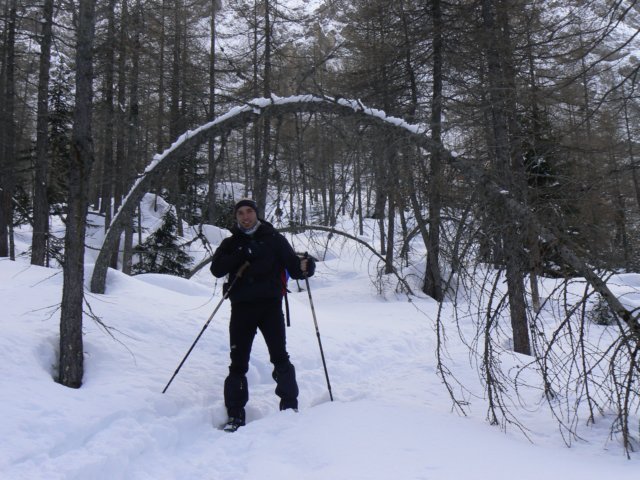 p1130420.jpg