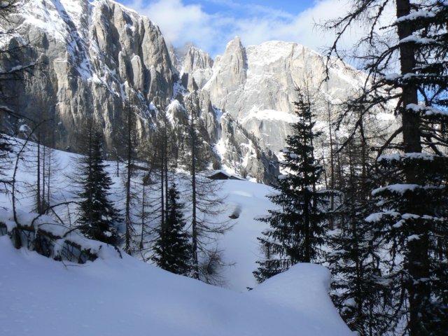 p1130425.jpg