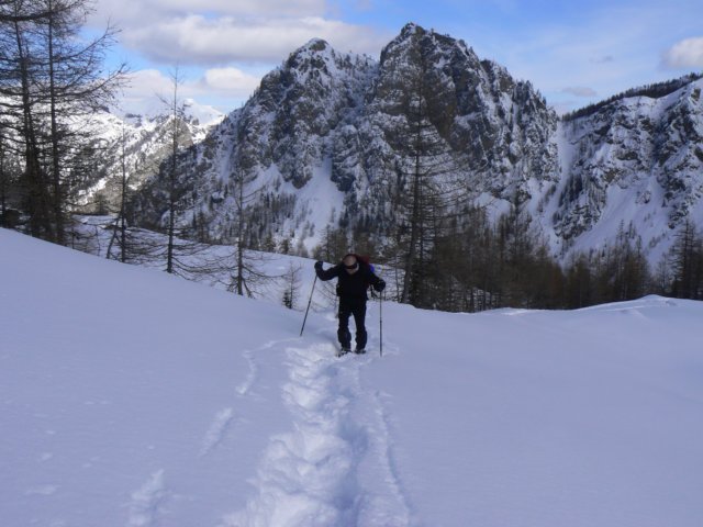 p1130432.jpg