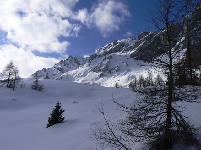 p1130435.jpg