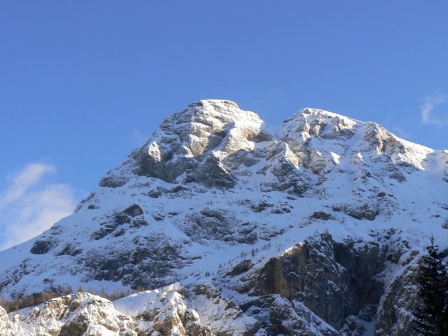 p1130447.jpg