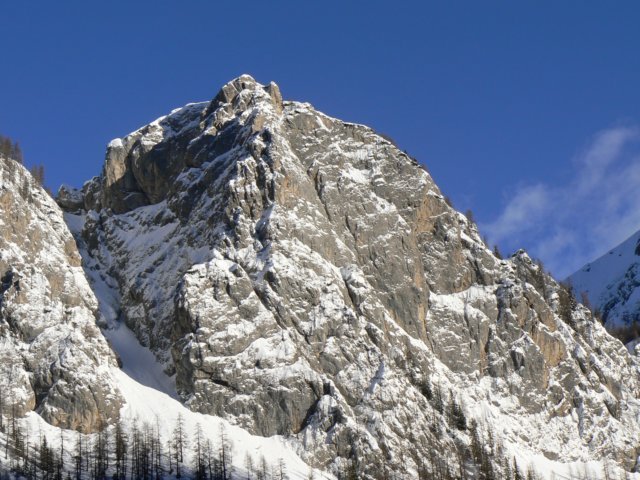 p1130448.jpg