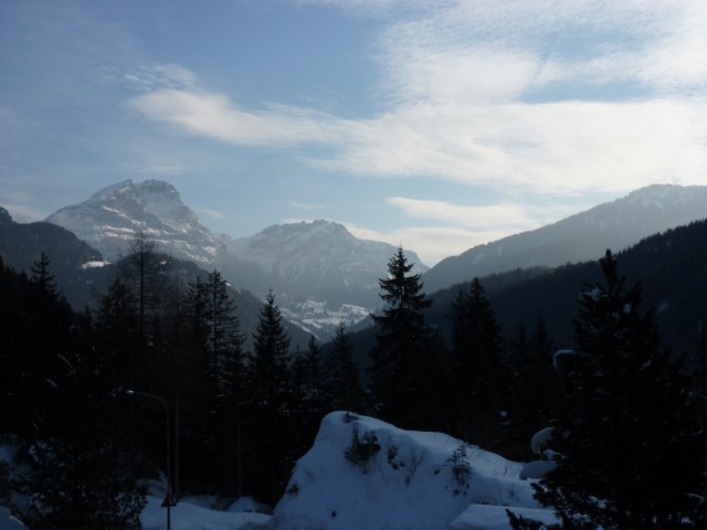 p1000185.jpg