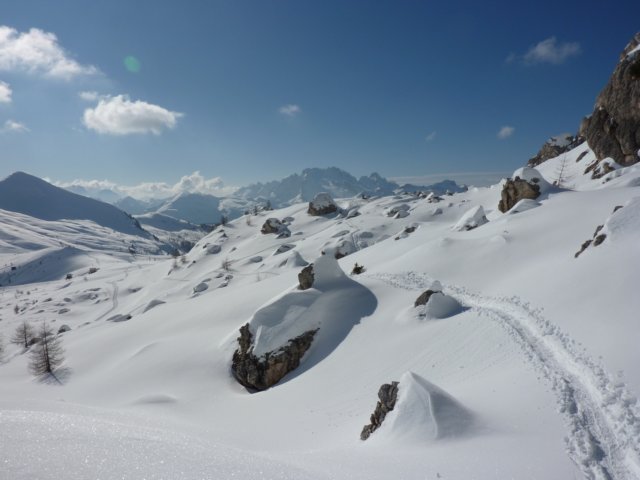 p1000249.jpg