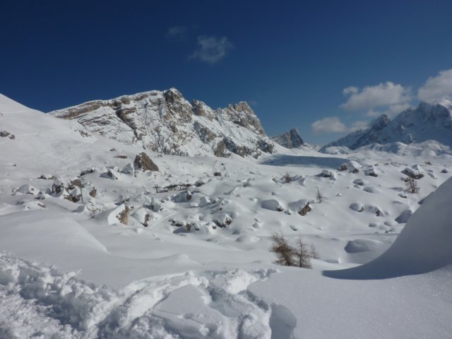 p1000252.jpg