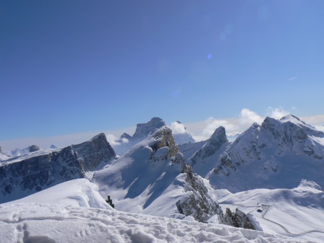 p1130511.jpg