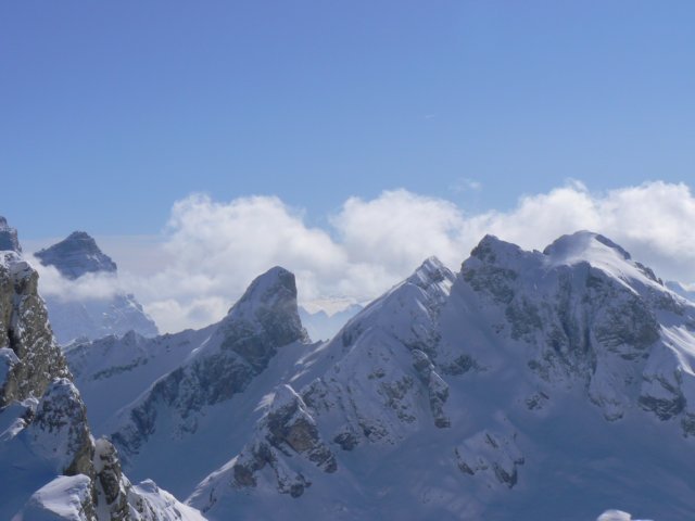 p1130531.jpg