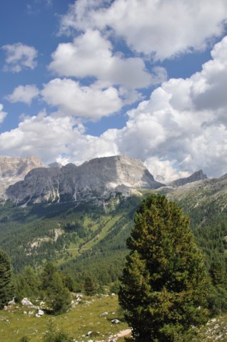 dsc_0067.jpg