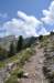 dsc_0070_small.jpg