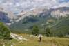 dsc_0071_small.jpg