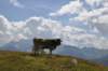 dsc_0086_small.jpg