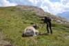 dsc_0087_small.jpg