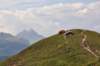 dsc_0157_small.jpg