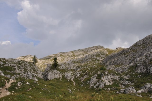 dsc_0159.jpg