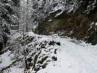 p1140644_small.jpg