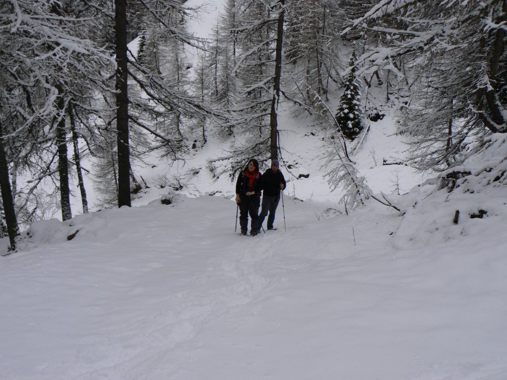 p1140657.jpg