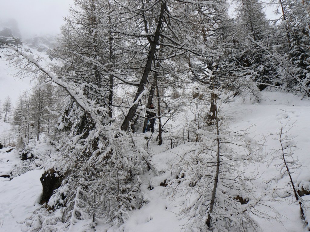 p1140666.jpg