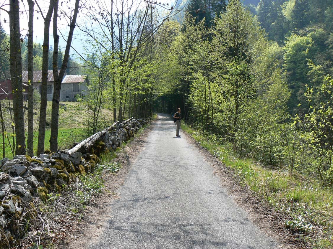 sentiero02.jpg