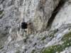 ferrata03_small.jpg