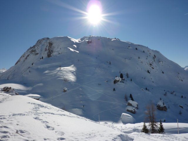 p1000077.jpg