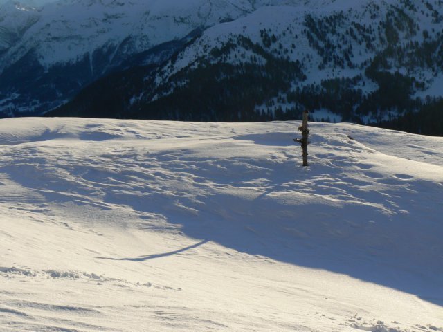p1130331.jpg