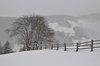 DSC_0064