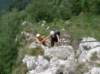 img7_small.jpg