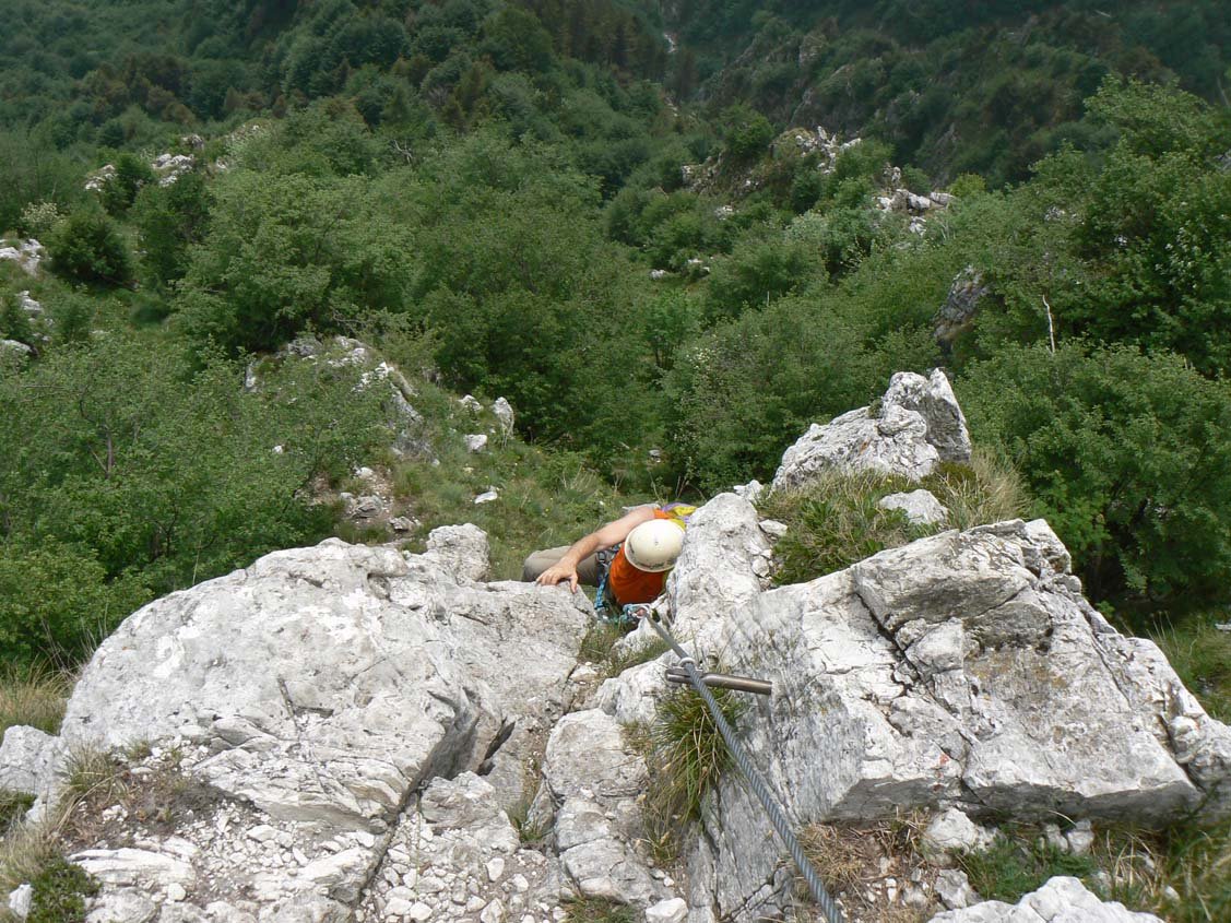 img9.jpg